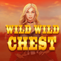 Wild Wild Chest game icon